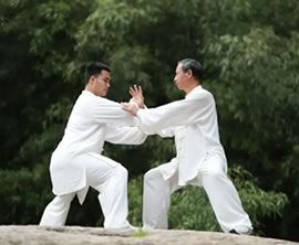 陈式太极拳竞赛套路56式